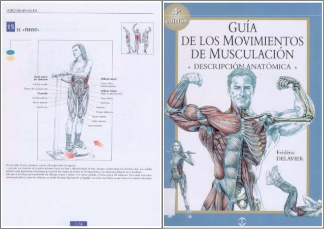 guia de los movimientos de musculacion descripcion anatomica